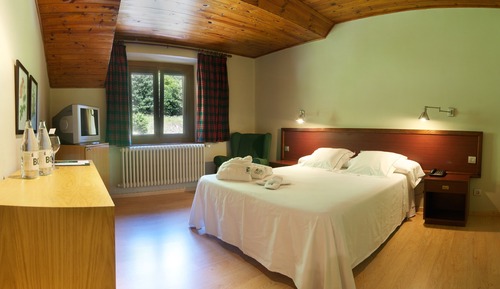 Standard Double or Twin Room, Mountain View