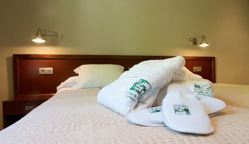 Basic Double or Twin Room