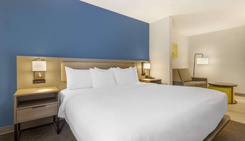 Standard Suite, 1 King Bed with Sofa bed, Non Smoking