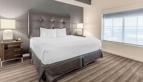 Studio Suite, 1 King Bed with Sofa bed, Accessible, Bathtub (Accessible)