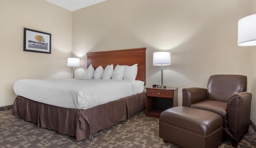 Standard Room, 1 King Bed, Accessible, Refrigerator & Microwave