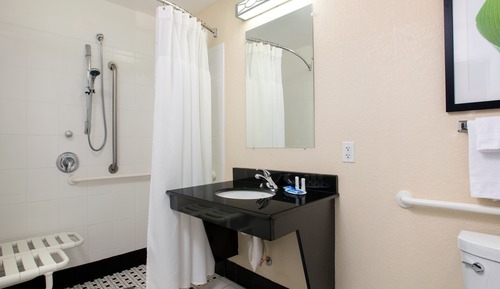 Room, 1 King Bed, Non Smoking (Mobility Accessible, Roll-In Shower)