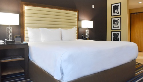 Superior Room, 1 King Bed