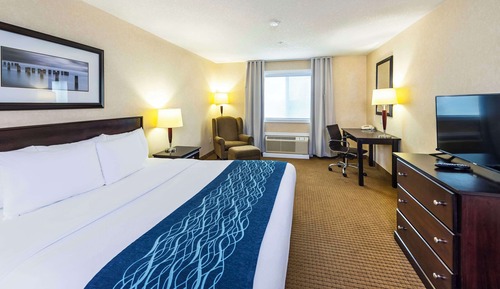 Standard Room, 1 King Bed, Non Smoking