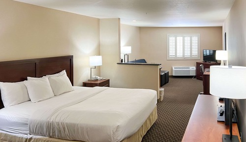 Deluxe Suite, 1 King Bed, Sitting Area, Sofa, Wet BAR, Non-Smoking