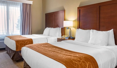 Suite, 2 Queen Beds