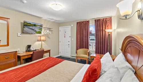 Room, 1 Queen Bed