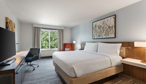 Deluxe Room, 1 King Bed