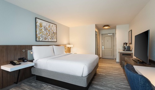 Room, 1 King Bed, Accessible, Bathtub (Hearing & Mobility)