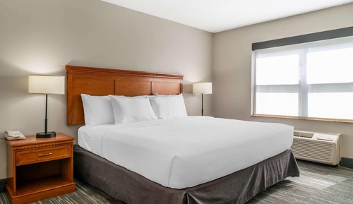 Room, 1 King Bed, Non Smoking