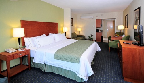 Suite, 1 King Bed