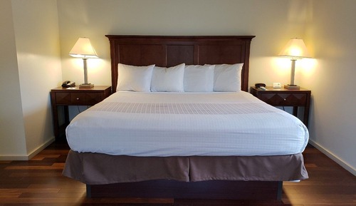1 Bedroom suite