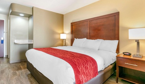 Suite, 1 King Bed with Sofa bed, Accessible, Non Smoking