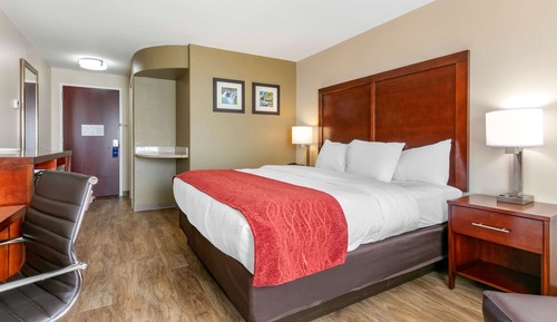 Room, 1 King Bed, Non Smoking (Upgrade)