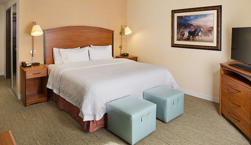 Room, 1 King Bed, Accessible, Non Smoking