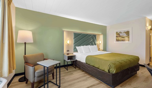 Standard Room, 1 King Bed, Non Smoking