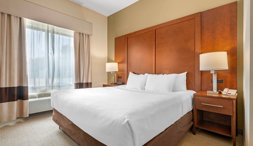 Suite, 1 King Bed with Sofa bed, Non Smoking, Jetted Tub