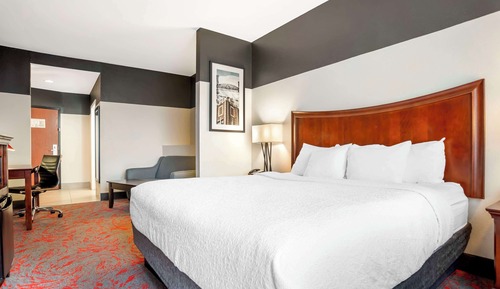 Suite, 1 King Bed, Accessible, Non Smoking (with Single Sofabed)