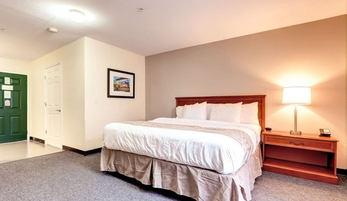 Standard Room, 1 King Bed, Non Smoking