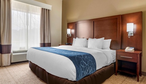 Suite, 1 King Bed with Sofa bed, Accessible, Non Smoking