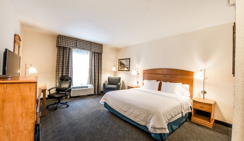 Room, 1 King Bed, Accessible