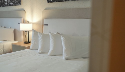 Suite with King Bed