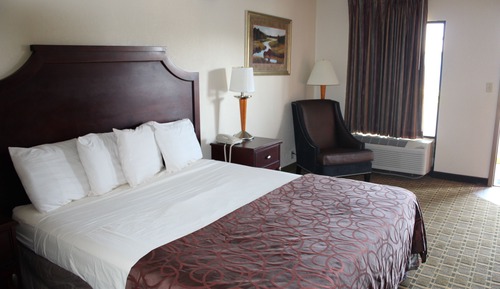Standard Room, 1 King Bed, Non Smoking (No Pets Allowed)