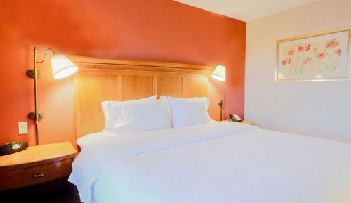 Studio Suite, 1 King Bed