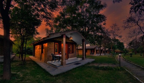 Forest View Cottage
