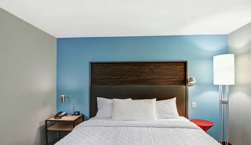 Room, 1 King Bed, Accessible (Roll-in Shower, Hearing)