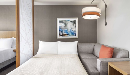 Room, 1 King Bed with Sofa bed