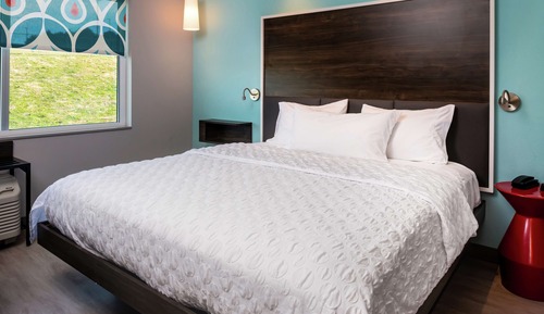 Room, 1 King Bed