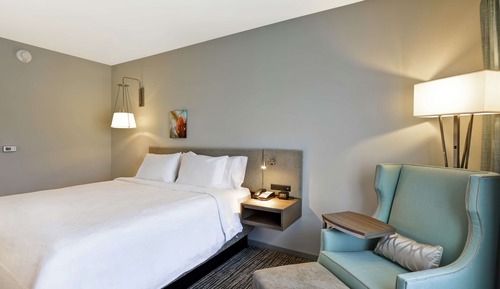 Room, 1 King Bed