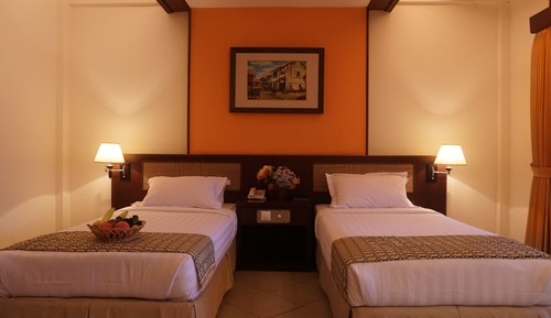 Deluxe Double or Twin Room