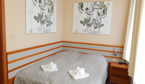 Standard Double Room, 1 Queen Bed, Non Smoking