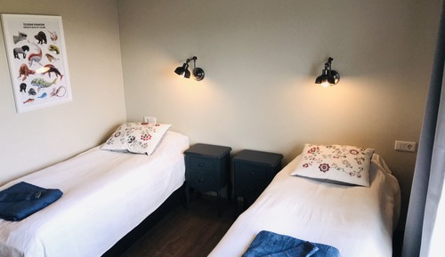 Deluxe Double or Twin Room, Private Bathroom