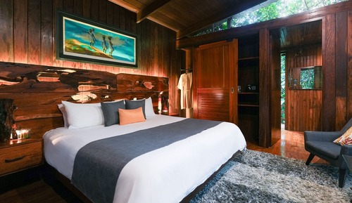 Jungle Suite