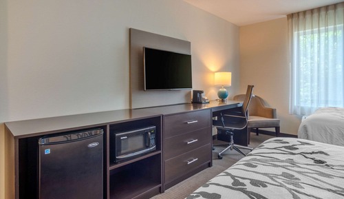 Room, 1 King Bed, Non Smoking