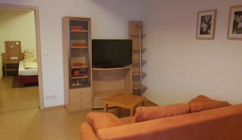 Apartment, Accessible, Private Bathroom