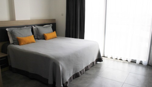 Standard Double Room, 1 King Bed