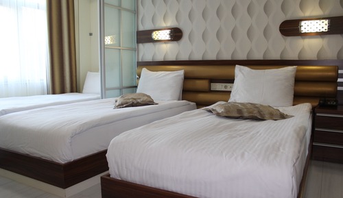 Standard Double or Twin Room, Mountain View