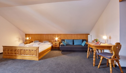 Standard Double Room Single Use