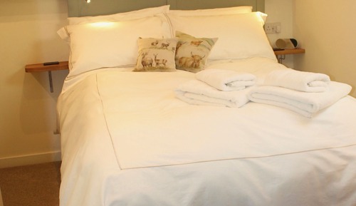 Large Single Room