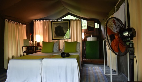 Exclusive Tent, 3 Twin Beds, Non Smoking