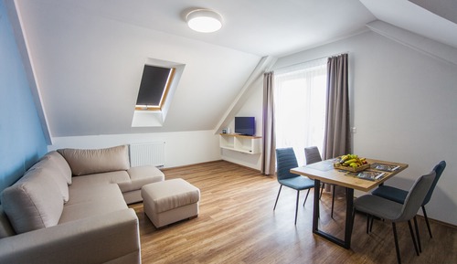 Comfort Apartment, 1 Bedroom