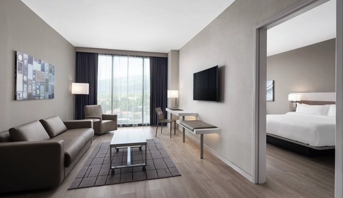 Suite, 1 King Bed with Sofa bed