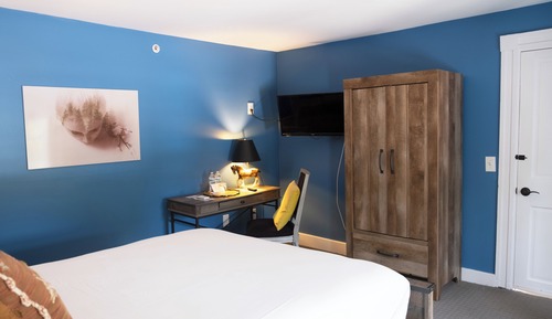 Comfort Single Room, 1 Queen Bed