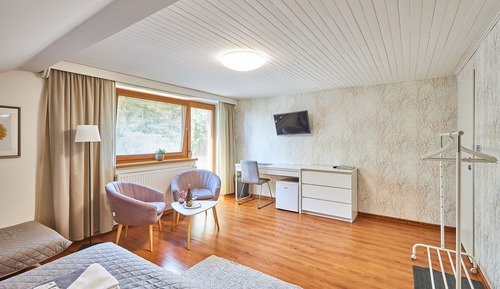 Double or Twin Room, City View (5)