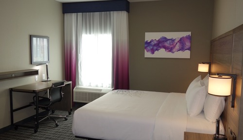 Room, 1 King Bed, Accessible, Non Smoking (Mobility,Hearing,Roll-In Shower)