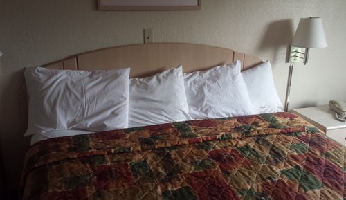 Single Room, 1 Bedroom